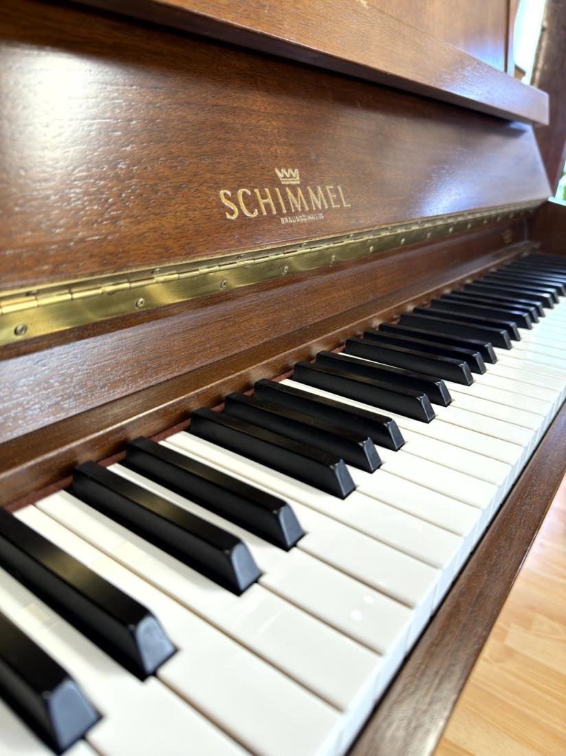 Schimmel 116